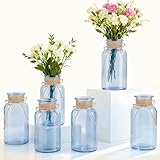 LEYIQU Vintage Glass Flower Vase, Farmhouse Glass Centerpiece Vases Mason Jars for Weddings, Parties & Home Decor Bulk (6, Blue)