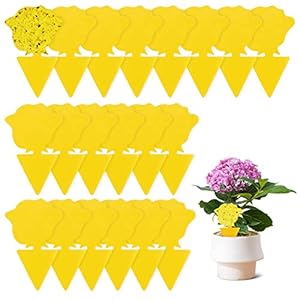PEAKTOP 20 Gelbtafeln Fruchtfliegenfalle, Gelbsticker Trauermücken Bekämpfen, Klebrige Insektenfallen Fliegenfallen, Fliegenfalle Steckbare für Zimmerpflanzen Schädlingsbekämpfung, Garten Pflanzen
