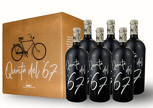 BODEGAS Y VIÑEDOS VOLVER | Vino Tinto Quinta del ´67 | Pack de 6 Botellas | Vino de Almansa | Variedad de uva Garnacha Tintorera | Cosecha de 2017 | (6 Botellas x 750 ml) Cover