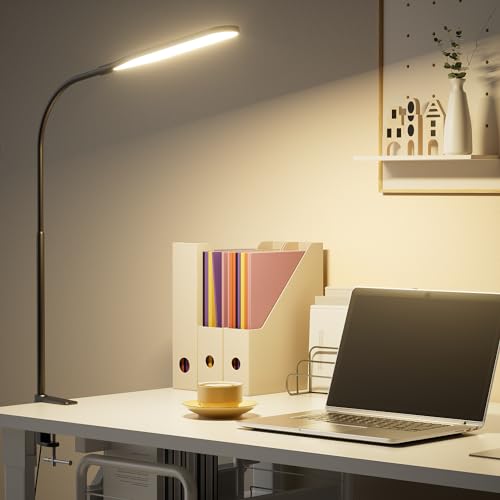 anyts Schreibtischlampe LED, Schreibtischlampe Klemmbar Mit 3 Farben, 10 Helligkeiten Leselampe, Augenschonende Klemmleuchte (Schwarz)