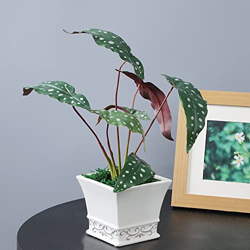 LNGO 15 inch 1 Piece 6 Brunches Faux Begonia Leaf Bonsai Artificial Greenry UV Resistant Bushes Shrubs Office Home Outdoor Decoration