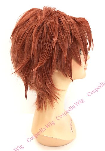 Amazon.co.jp: 名探偵コナン 沖矢昴 風 ウィッグ キャラウィッグ 美容