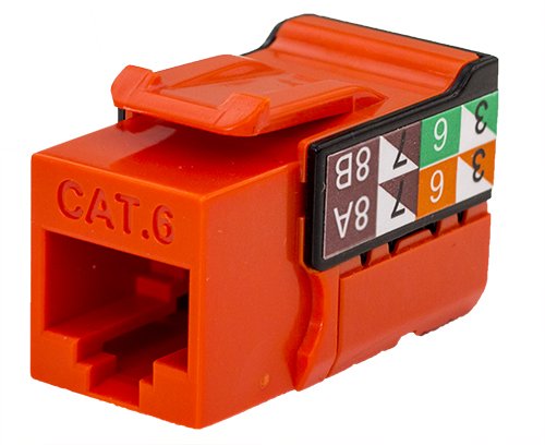 Amazon.com: CAT6 RJ45 Keystone Jack, V-Max Series - Orange Color