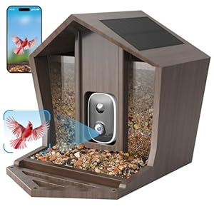Smart bird feeder with camera solar powered 25k hd free ai identifies 12000 birds auto motion detection waterproof wooden video bird feeder camera live gift of bird lover wifi  urban country home decor
