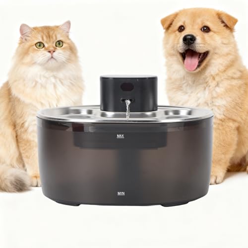 Pumpless 3.2L Stainless Steel Pet Fountain