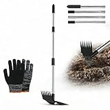 TCETCY Unkrautstecher mit Langem Stiel 150cm, Unkrautentferner Fugen Unkrautjäter mit Stiel, 2-in-1 Unkrautrechen und Gartenhacke, Gartenwerkzeug Effizientes Entfernen von Unkraut Gartengeräte