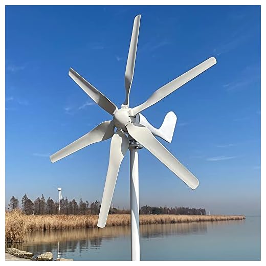 Rewindagic 800W Turbina eolica 12V 24V 48V generador de viento de energía libre para el hogar granja lámparas de calle 6 palas Molino de viento (12V con controlador MPPT)