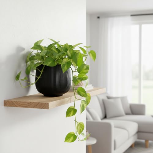 Image of Xtore Sleek Ribbed Black Planter Pot for Indoor Plants | Modern Textured Flower Pot for Home & Office Decor, Tabletop & Shelf Styling (Black, 14 cm x 13.5cm)