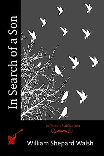 In Search of a Son 1514763109 Book Cover