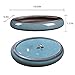 HUOMUSIR (10 Inch Shallow Bonsai Pots 2 Piece Set Water Glaze Blue Succulent Platter Bonsai Tree Ceramic Flower Pot Handmade (Excluding Plants)