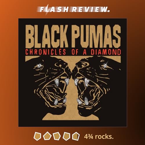 An Obsidian Flash Review: Chronicles of a Diamond by the Black Pumas