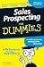 Sales Prospecting For Dummies