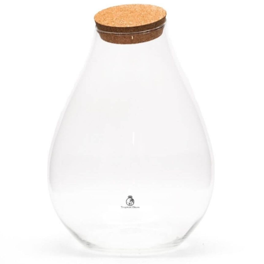 Teardrop Terrarium Glass with Cork Lid H: 37 cm, Terrarium Glass with Lid, Glass Terrarium Empty, Terrarium Garden Display Indoor. Large Capacity Sealed Bottles, Landscape Terrarium for Plants