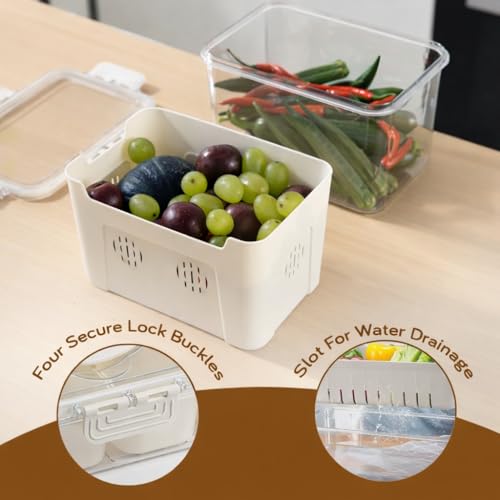 Image of HOKIPO BPA Free Food Grade Plastic Fridge Storage Containers with Lid - Crisper Containers for Fresh Vegetables, Fruits & Food | Freezer & Kitchen Organizer Set for Home Use (AR-6711)