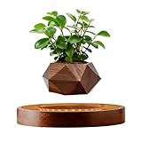 MOOCCI Levitating Plant Pot with Light, Magnetic Floating Flower Pot with Rotating and Auto-Spinning, Brown Wood Grain Planter for Succulents, Cool Desk Decor for Home Office, Unique Gift Idea