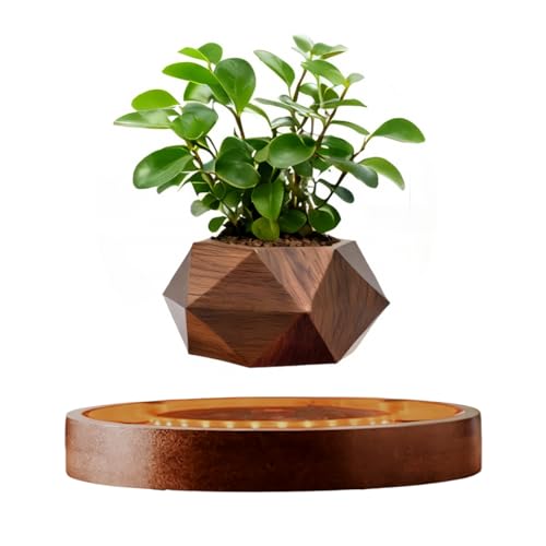 MOOCCI Levitating Plant Pot with Light Magnetic Floating Flower Pot with Rotating and Auto-Spinning Brown Wood Grain Planter for Succulents Cool Desk Decor for Home Office Unique Gift Idea