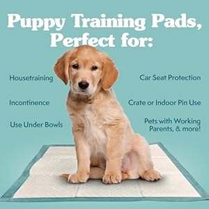 Simple Solution Extra Large Pee Pads For Dogs, XL Puppy Potty Training Pee Pad, 6 Layers Thick, Instashield Absorbent, Attracts Dogs, Leak Proof, Odor Neutralizing, Disposable, XLARGE 28"x30", 100ct Simple Solution Extra Large Pee Pads For Dogs XL Puppy Potty Training Pee Pad 6 Layers Thick Instashield Absorbent Attracts Dogs Leak Proof Odor Neutralizing Disposable XLARGE 28×30 100ct