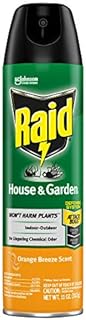 Raid House & Garden Insect Killer Spray, for Listed Ant, Roach, Spider, for Indoor & Outdoor Use, Orange Scent (11 Ounce (Pack of 1)