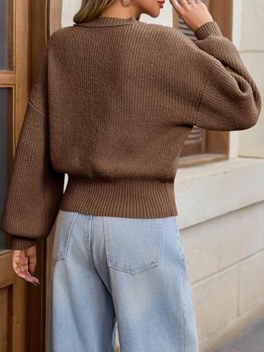 Image of Saodimallsu Womens Batwing Long Sleeve Sweaters Casual Crewneck Loose Chunky Knit Fall Pullover Tops