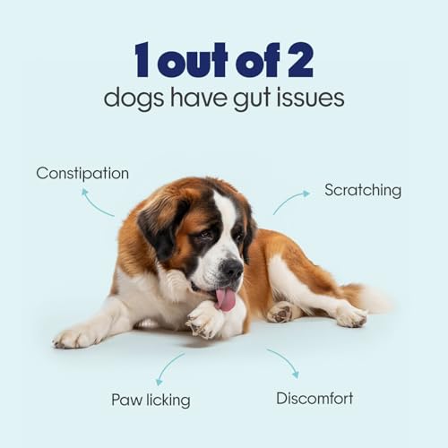 Image of Hope Pre & Probiotics Supplement for Dogs - 60 Chicken hoplets | Tasty Pet Chews with Hing for Absolute Gut Health, Gas, Itching, Scratch Relief | Coldpressed| Air-Dried | Honest Pet Co