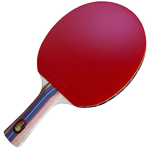 10 Best Ping Pong Paddles for Beginners in 2024