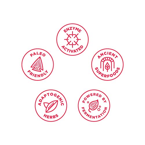 image for Iron Supplements by Ancient Nutrition, Ancient Nutrients Blood Booster