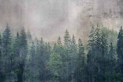 Dimex Forest Abstract Fotomural 375x250cm 5-tiras