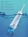 Cordless Water Flosser Pick Teeth Cleaner, BeMyLady 320ML Portable Water Flosser Pik Oral Irrigator for Travel, Home IPX7 Waterproof Water Dental Flosser with 4 Jet Tips for Braces and Teeth Whitening