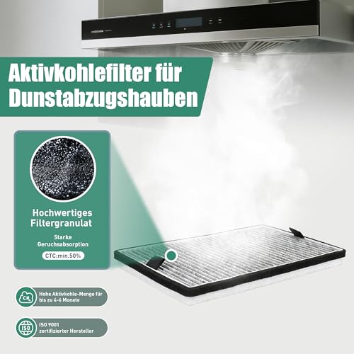 2 filtry z węglem aktywnym do Miele DKF 19-P DKF 19-1 FWKM-1423 9231860 filtr do okapu kuchennego kompatybilne z Miele DA 23x0 DA 266x DA 269x DA 35xx DA 36xx