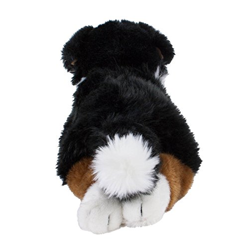 unbekannt Kuscheltier Berner Sennenhund 38 cm liegend schwarz/braun/weiß Plüschhund Uni Toys