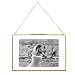Cq acrylic 11 x 14 Picture Frames Made of Copper and High Definition Glass Display Pictures 8x10 or 11x14 for Wall mounting Photo Frame,Gold,Pack of 1