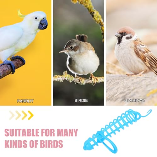 Mipcase support de nourriture pour oiseaux cage perruche canari - 7