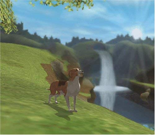 Image of Dog's Life (Renewed)