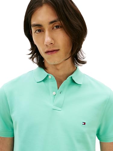 Image of Tommy Hilfiger Men's Short Sleeve Polo Shirts in Regular Fit With Stretch and Organic Pique Cotton
