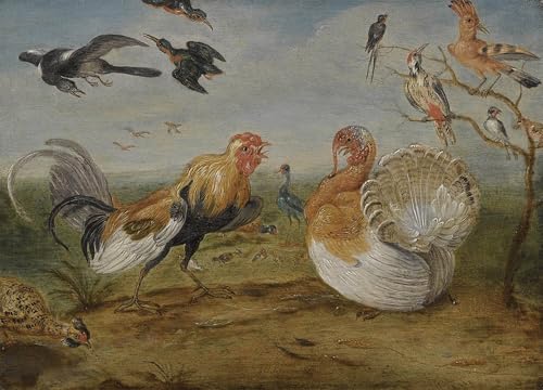 Affiche toile coq et dinde Jan Van Kessel pour décoration bureau