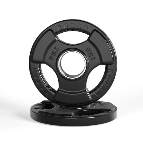 LIONSCOOL 2-Inch Rubber Coated Olympic Grip Plate in Pairs or Single for Strength Training, Weightlifting and Bodybuilding, 2.5-45LBS, One Year Warranty (2.5LB PAIR)