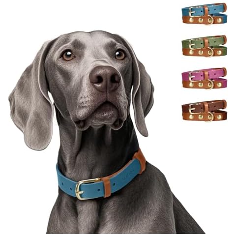 MIDOG Two-Tone Genuine Leather Dog Collar - Soft & Durable, Adjustable Rust-Proof Metal Buckle, Suitable for Small, Medium, and Large Dogs (Blue, L: 1.0" Wide for 19"-23" Neck) Cover