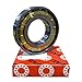 FAG N311E-M1-C3 Cylindrical Roller Bearing, Single Row, Straight Bore, Removable Outer Ring, High Capacity, C3 Clearance, Metric, 55mm ID, 120mm OD, 29mm Width