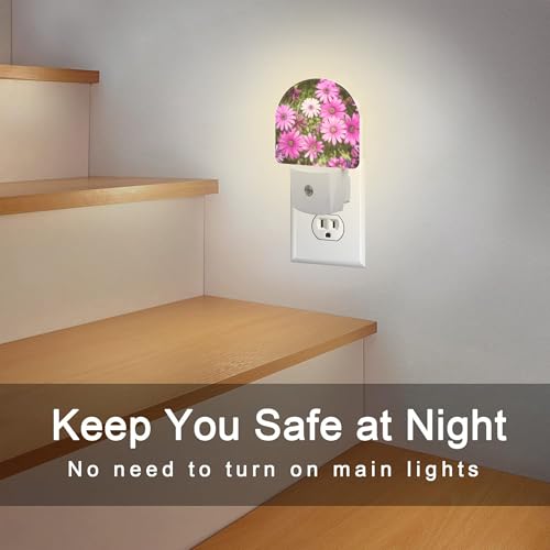 Image of Purple Daisies Flowers Night Light, Beautiful Blooming Daisy Dusk to Dawn Night Light Plug in,0.5w Energy Saving Sleep Friendly NightLight for Kids Boys Girls Home Decor