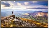 Sharp PN-E439 43' Ultra High Definition Commercial Display