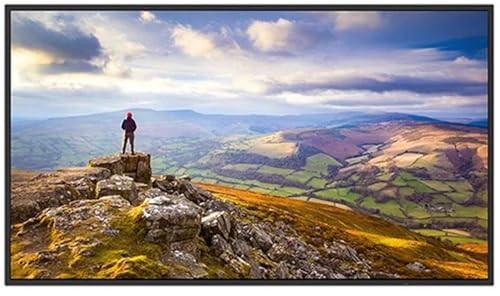Sharp PN-E439 43" Ultra High Definition Commercial Display
