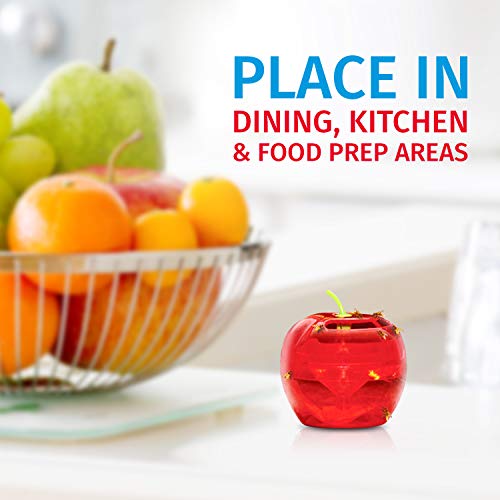 Fruit Fly Traps for Indoors by Raid 2 Lures + 2 Refills Effective