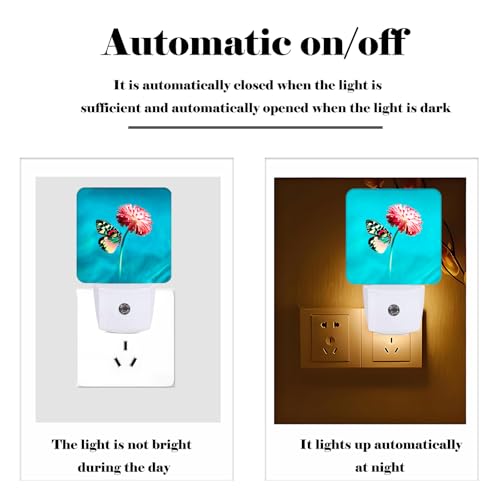 Image of Butterfly Pink Flower Night Light,Plug-in Night Lights with Dusk-to-Dawn Sensor for Stairway,Hallway,Bedroom Sleep Friendly Ideal for Women /Girls /Boys Gift,0.5w