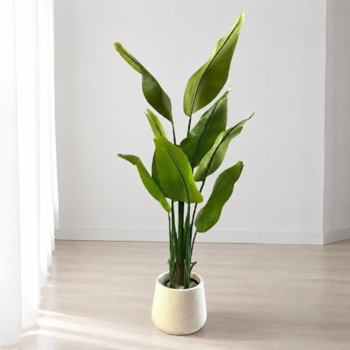 ストレリチア 観葉植物」の人気商品一覧・価格比較 - 価格.com