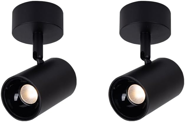 Pack of 2 LED Ceiling Spotlight Anti-Glare High CRI Picture Light Fixture Kit Head Focusing Lamp Surface Mounted Indoor Lighting White Pure White