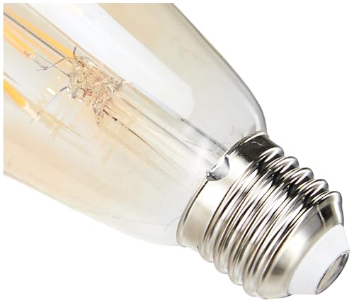 Image of Wipro Garnet 6W ST64 LED Filament Bulb | Decorative LED Bulb for Home & Office Decoration | Energy Efficient Filament Bulb comes with In-Built Surge Protection | E27, 2700K(Warm White, Pack of 1)