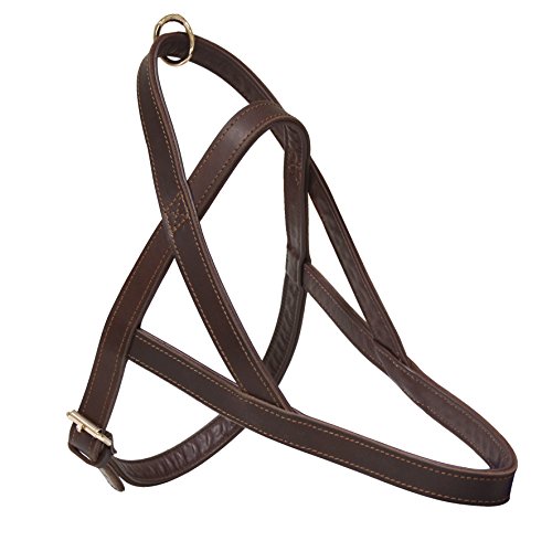 Croci C5061193 Ledergeschirr Elite Schwede, 80 cm, braun