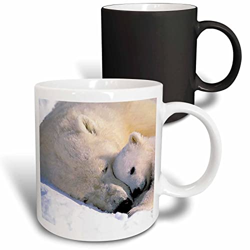 3dRose Wild Animals - Polar Bear and Cub 11oz Magic Transforming Mug