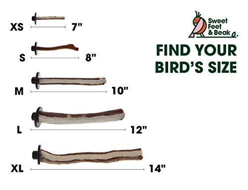 Sweet Feet and Beak Superoost Manzanita Pumice Pedicure Perch - Patented Bird Perch Keeps Nails and Beak in Top Condition - Imitates Birds' Life in The Wild - Non-Toxic, Easy Installation - X-Small