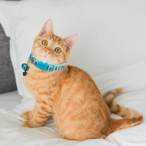 BANMODER Cat Collar Breakaway with Bell,2 Pack Safety Adjustable Cat Collars Set,Candy & Cactus - Image 7